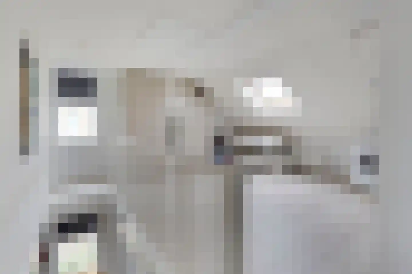 Pijlkruid 19 Elburg thumbnail 39