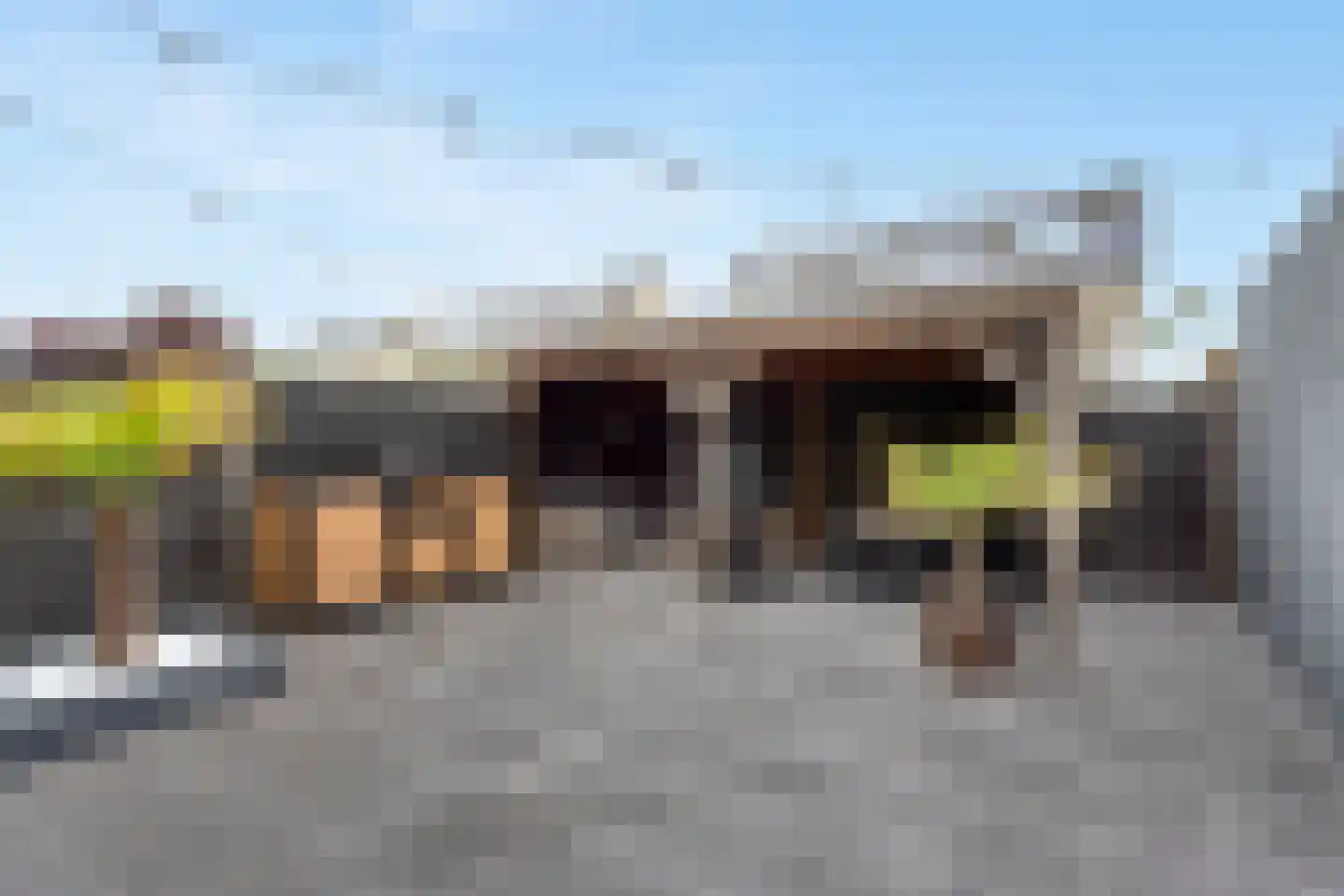 Pijlkruid 19 Elburg thumbnail 45