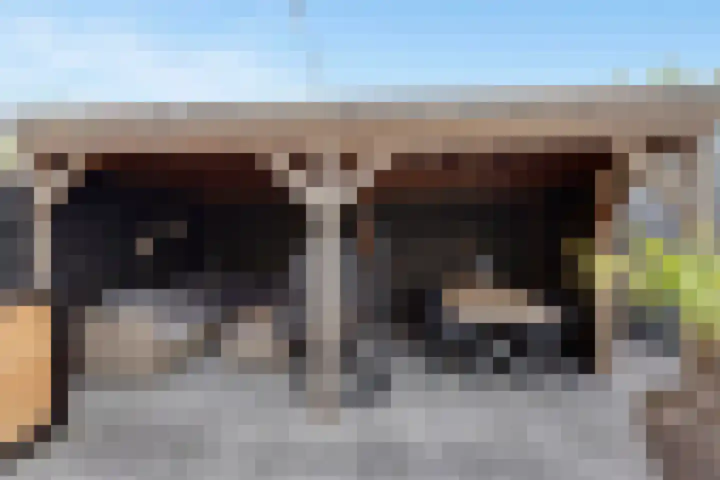 Pijlkruid 19 Elburg thumbnail 46
