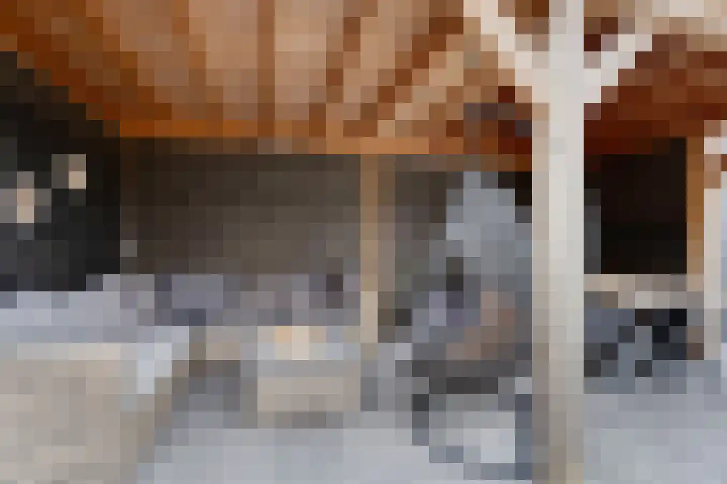 Pijlkruid 19 Elburg thumbnail 47