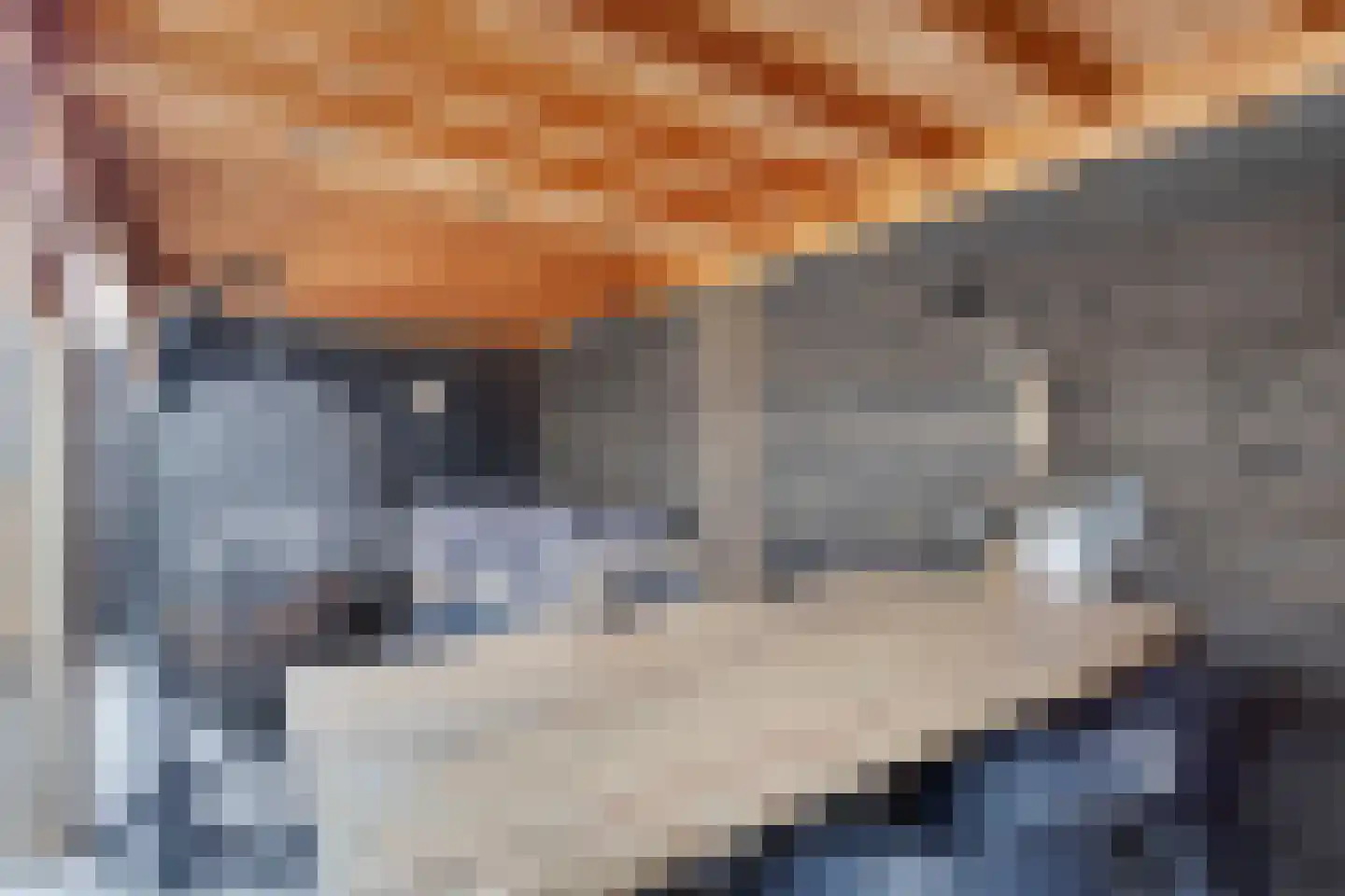Pijlkruid 19 Elburg thumbnail 48