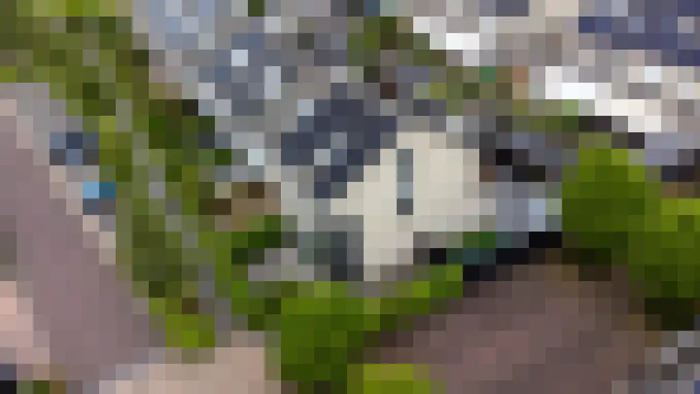 Pijlkruid 19 Elburg thumbnail 56