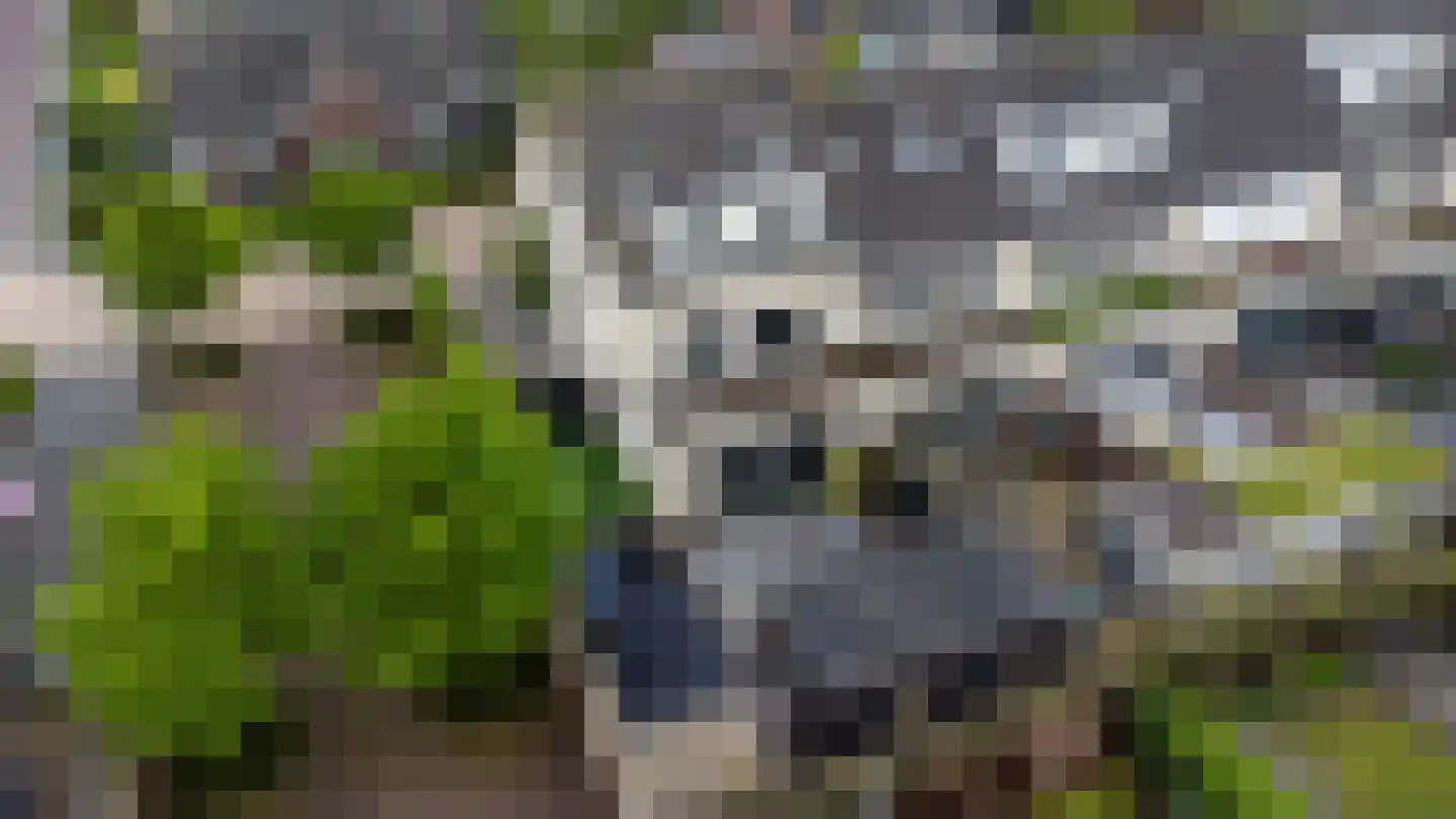 Pijlkruid 19 Elburg thumbnail 57