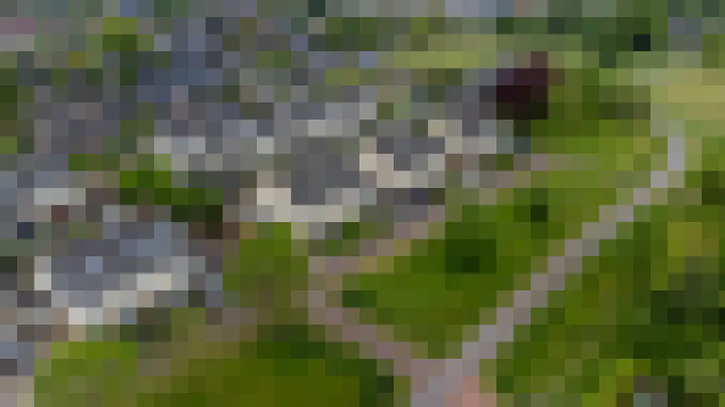 Pijlkruid 19 Elburg thumbnail 58