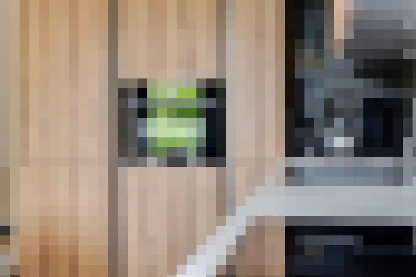 Pijlkruid 19 Elburg thumbnail 6