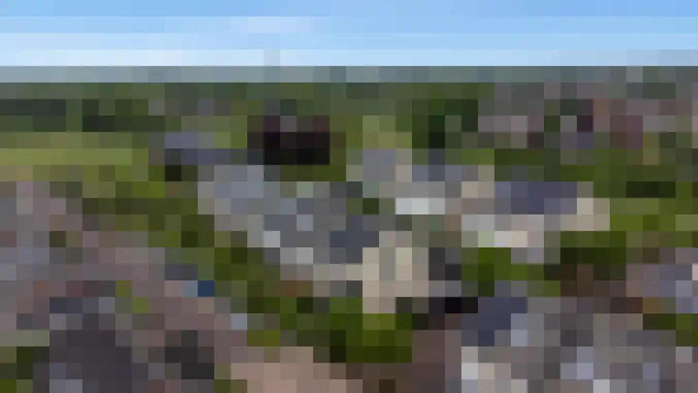 Pijlkruid 19 Elburg thumbnail 60