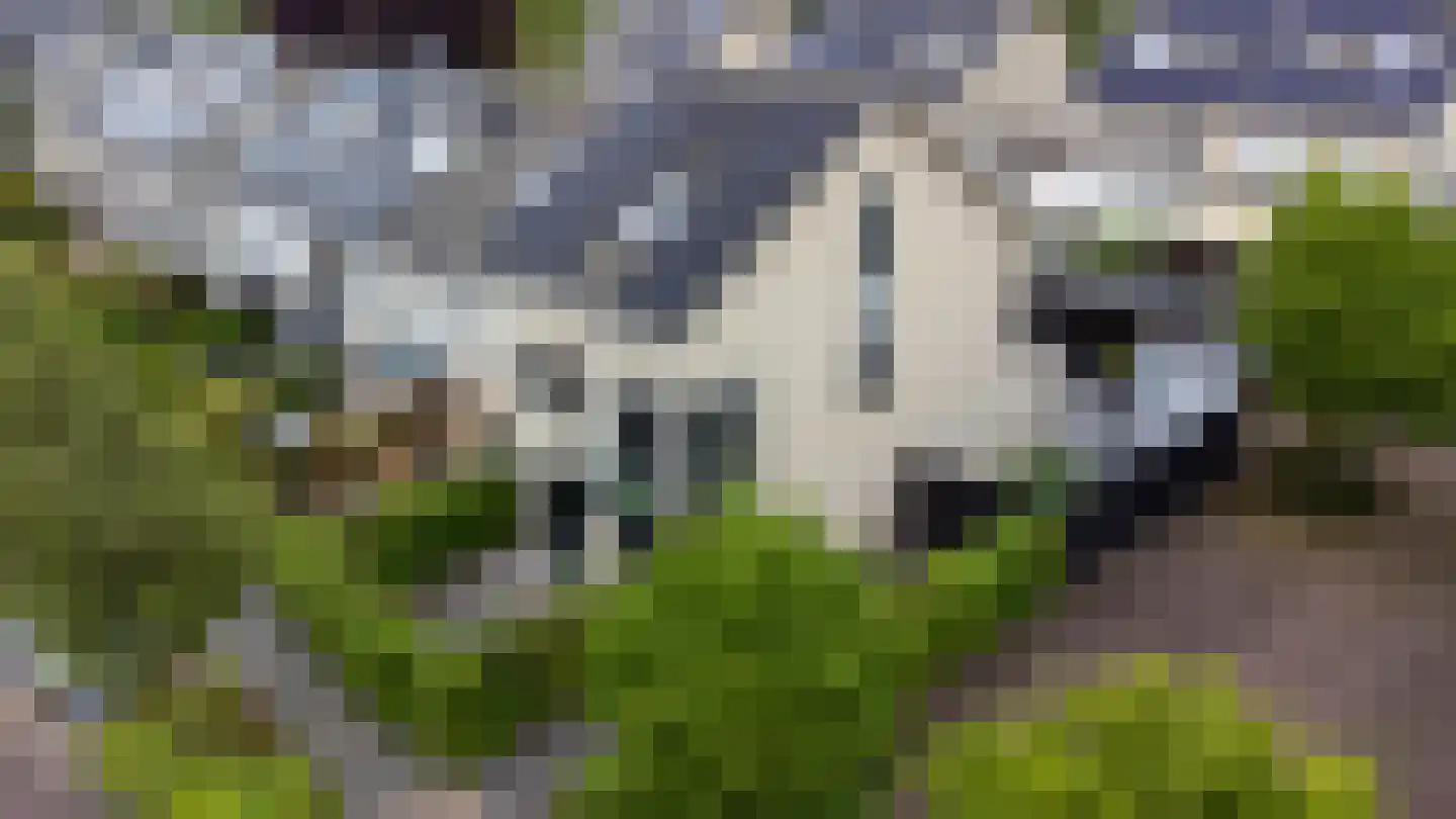 Pijlkruid 19 Elburg thumbnail 61