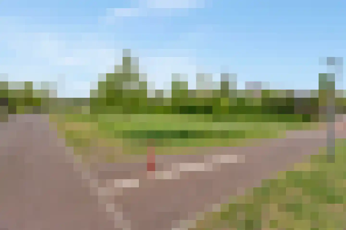 Pijlkruid 19 Elburg thumbnail 64