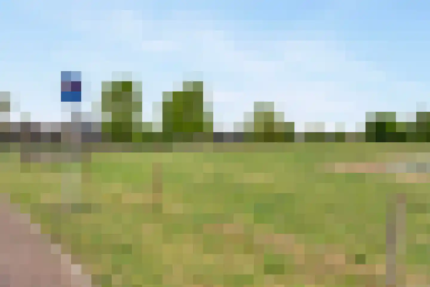 Pijlkruid 19 Elburg thumbnail 65