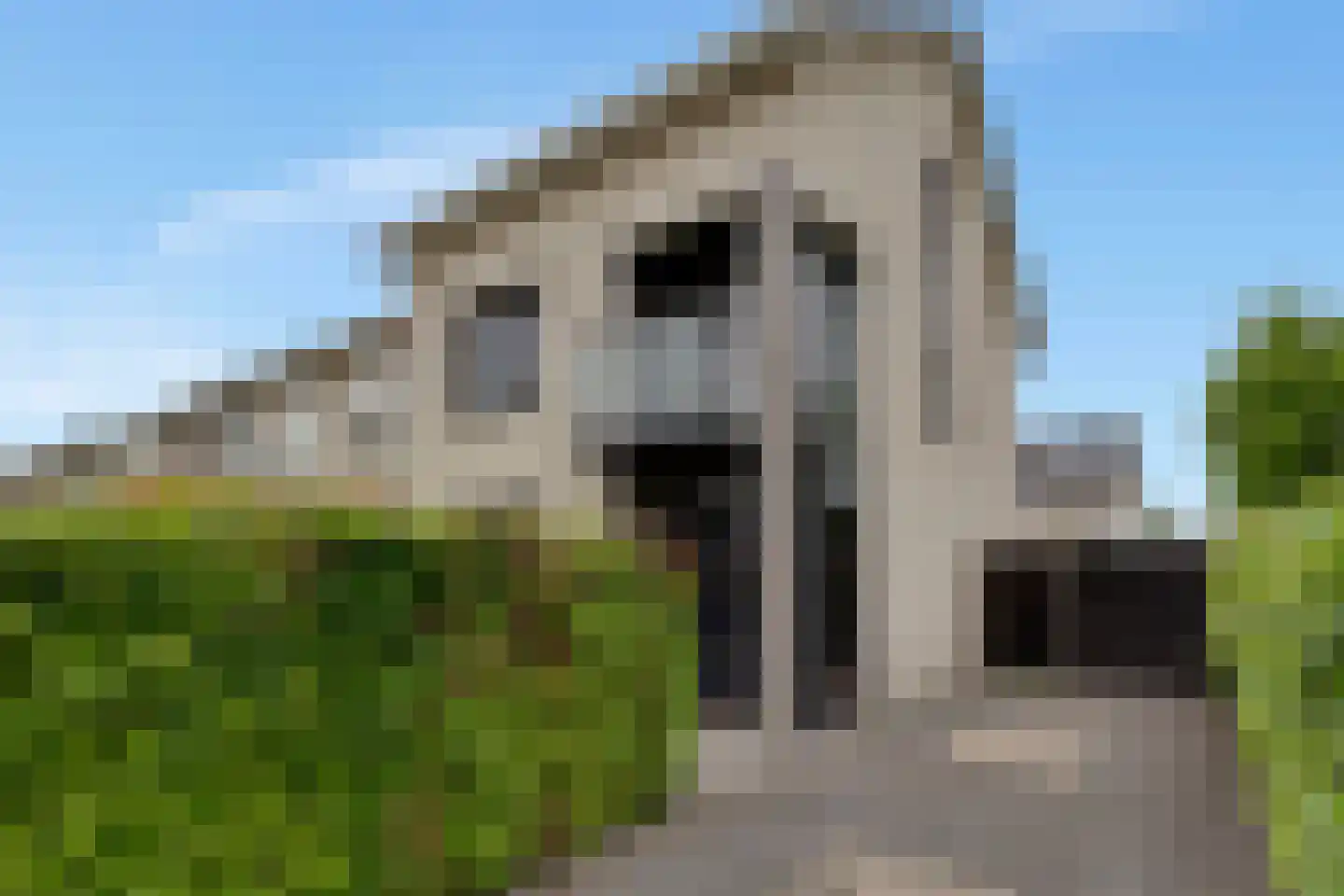Pijlkruid 19 Elburg thumbnail 7