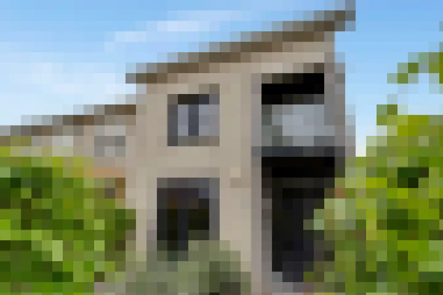 Pijlkruid 19 Elburg thumbnail 8