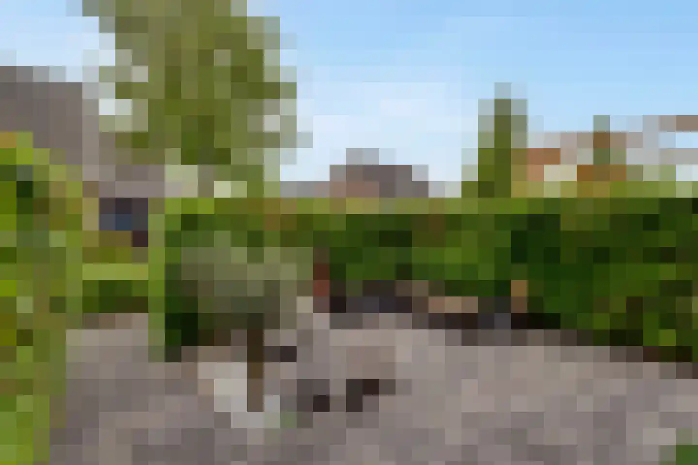 Pijlkruid 19 Elburg thumbnail 9