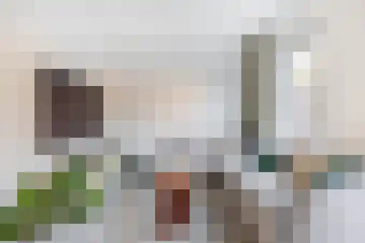Pijlkruid 19 Meerstad thumbnail 11