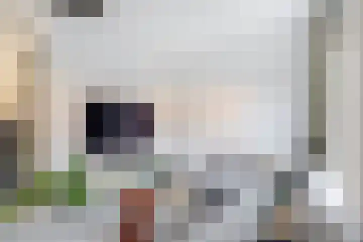 Pijlkruid 19 Meerstad thumbnail 12