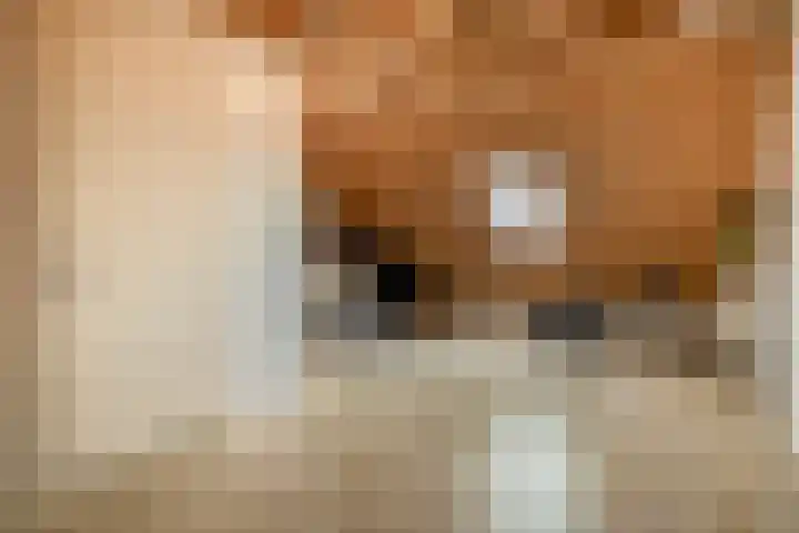 Pijlkruid 19 Meerstad thumbnail 37