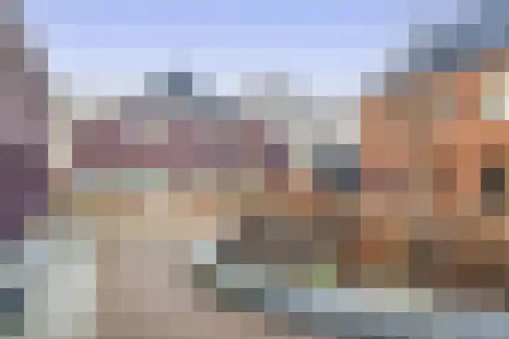 Pijlkruid 19 Meerstad thumbnail 40