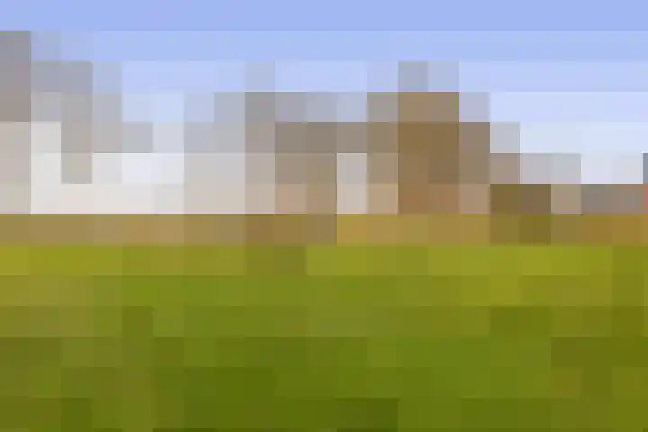 Pijlkruid 19 Meerstad thumbnail 44