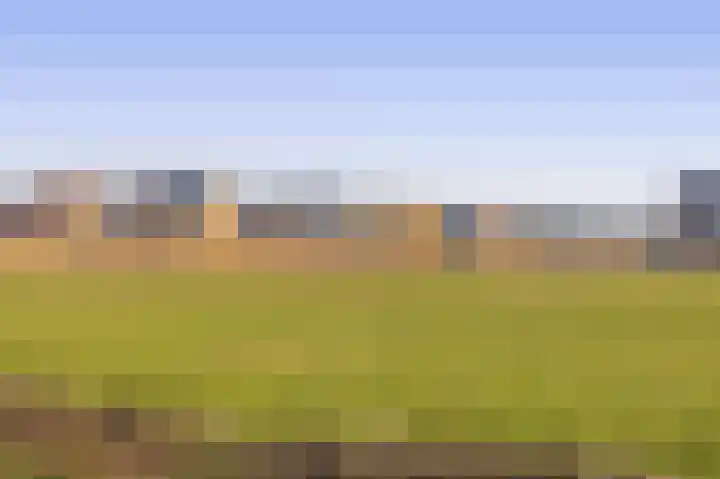 Pijlkruid 19 Meerstad thumbnail 45