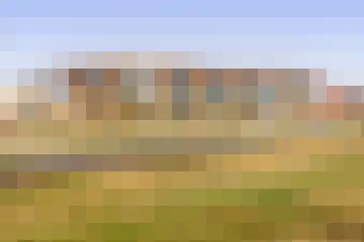 Pijlkruid 19 Meerstad thumbnail 46
