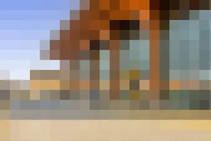 Pijlkruid 19 Meerstad thumbnail 47