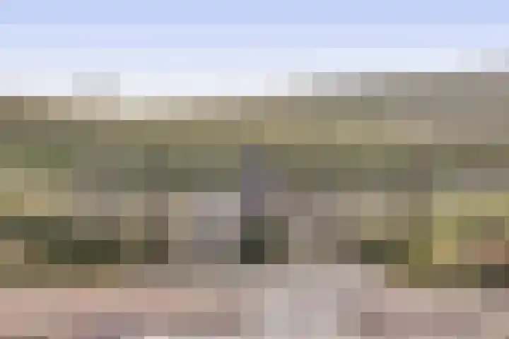 Pijlkruid 19 Meerstad thumbnail 48