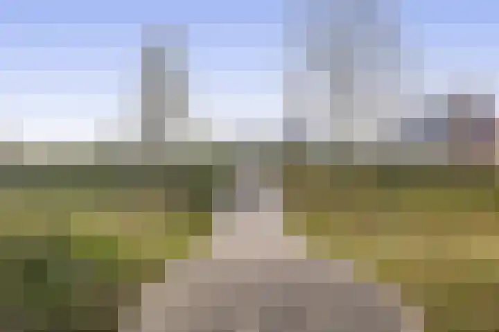 Pijlkruid 19 Meerstad thumbnail 49