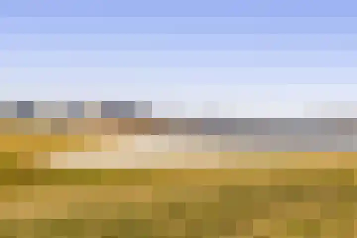 Pijlkruid 19 Meerstad thumbnail 50