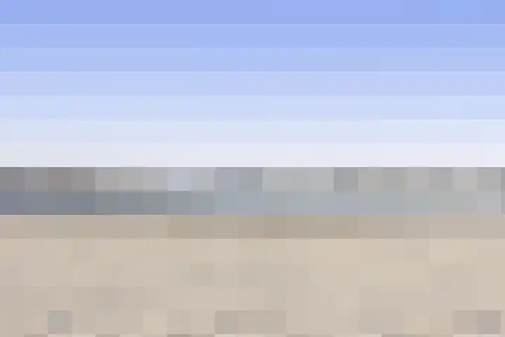 Pijlkruid 19 Meerstad thumbnail 51