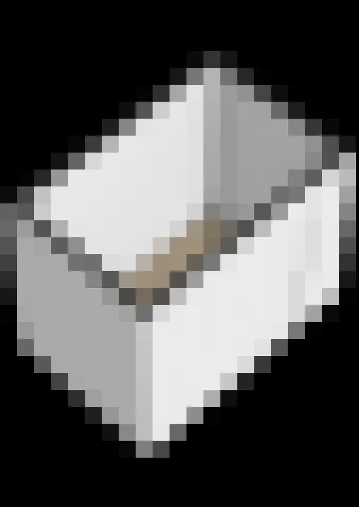Pijlkruid 19 Meerstad thumbnail 68