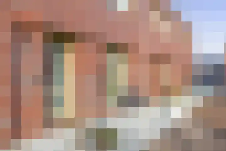Pijlkruid 19 Meerstad thumbnail 7