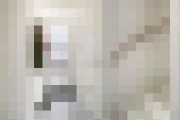Pijlkruid 19 Meerstad thumbnail 8