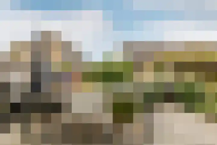 Pijlkruid 19 Moordrecht thumbnail 26