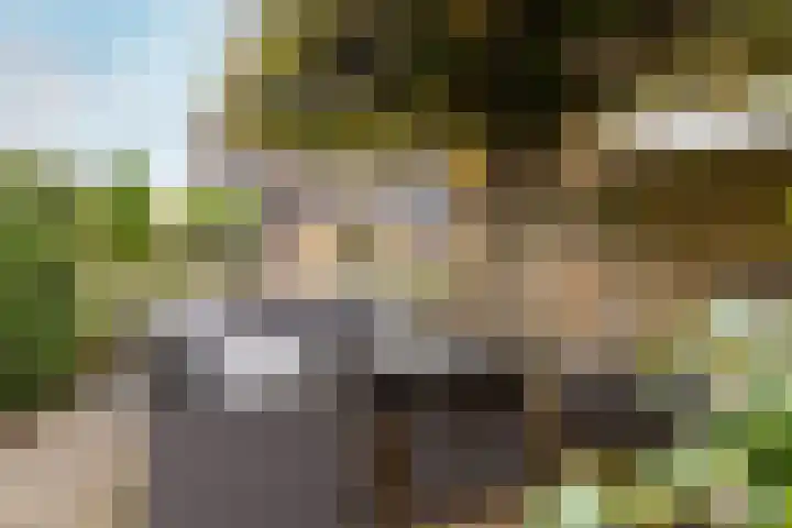 Pijlkruid 19 Moordrecht thumbnail 27