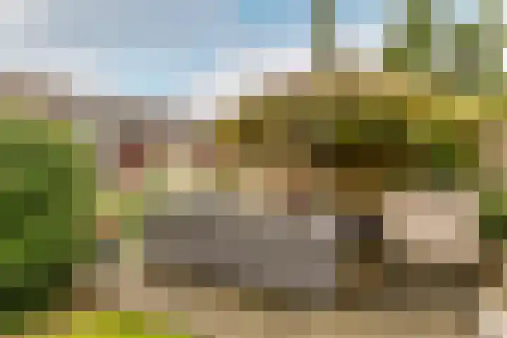 Pijlkruid 19 Moordrecht thumbnail 28