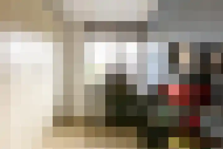 Pijlkruid 19 Moordrecht thumbnail 30