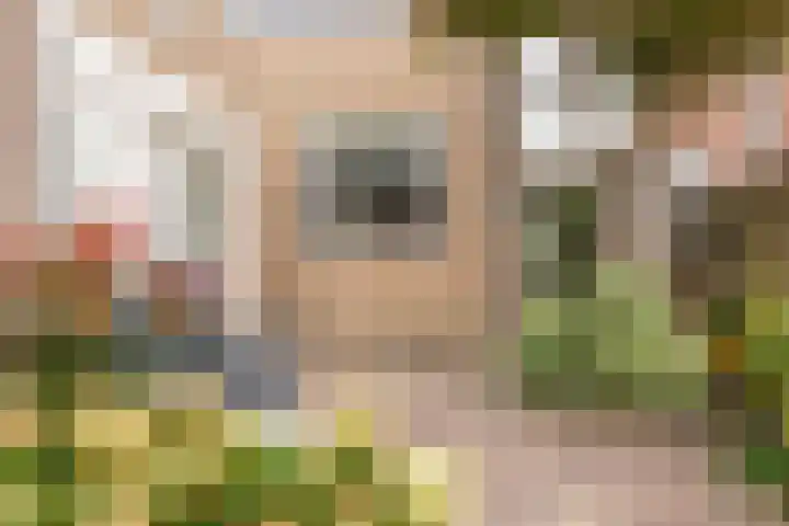 Pijlkruid 19 Moordrecht thumbnail 42