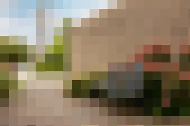 Pijlkruid 19 Moordrecht thumbnail 43
