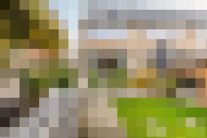 Pijlkruid 19 Moordrecht thumbnail 45