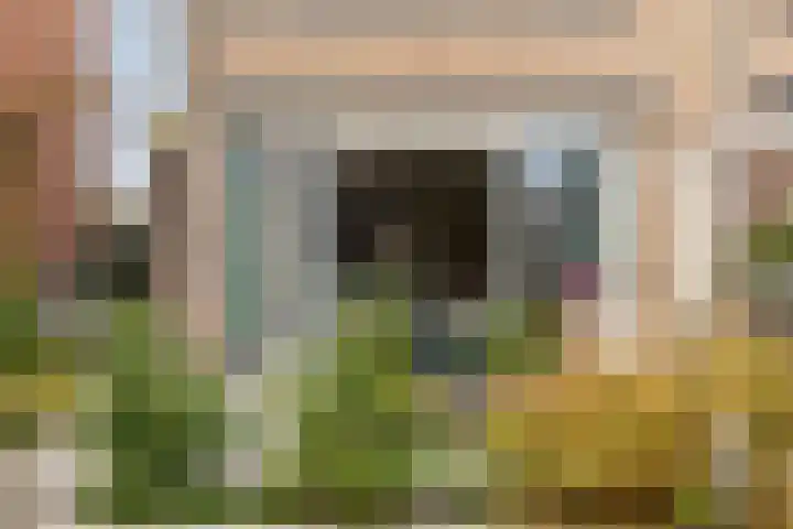 Pijlkruid 19 Moordrecht thumbnail 47