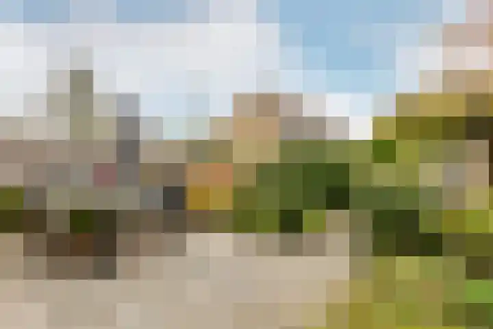 Pijlkruid 19 Moordrecht thumbnail 48