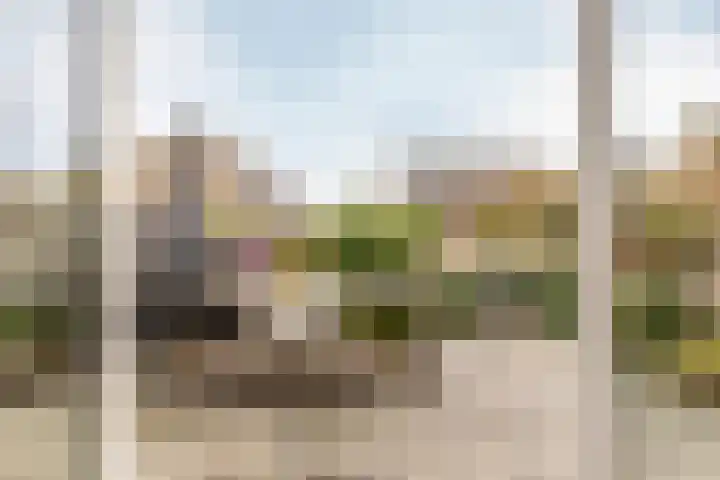 Pijlkruid 19 Moordrecht thumbnail 49