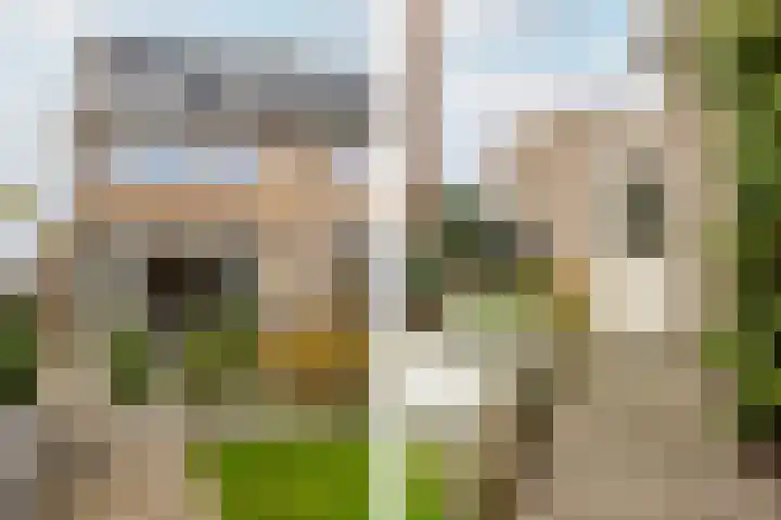 Pijlkruid 19 Moordrecht thumbnail 50