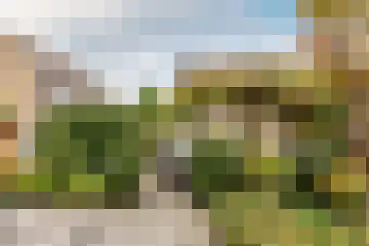 Pijlkruid 19 Moordrecht thumbnail 52