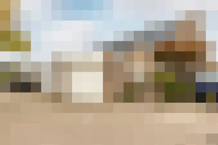 Pijlkruid 19 Moordrecht thumbnail 6