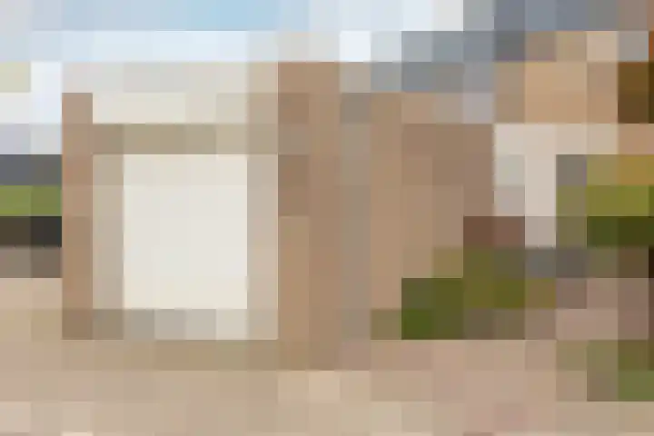 Pijlkruid 19 Moordrecht thumbnail 7
