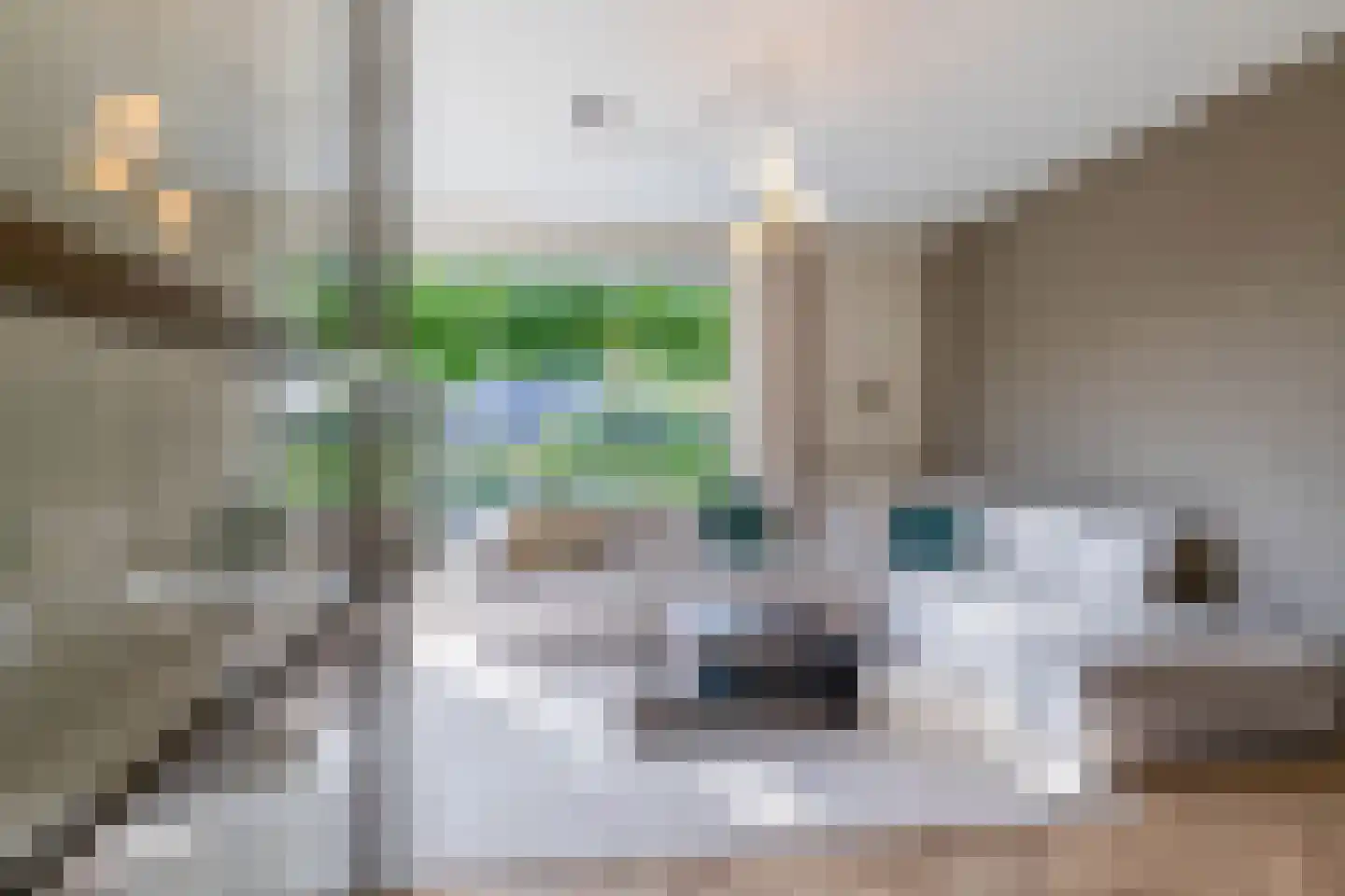 Pijlkruid 20 Meerstad thumbnail 12