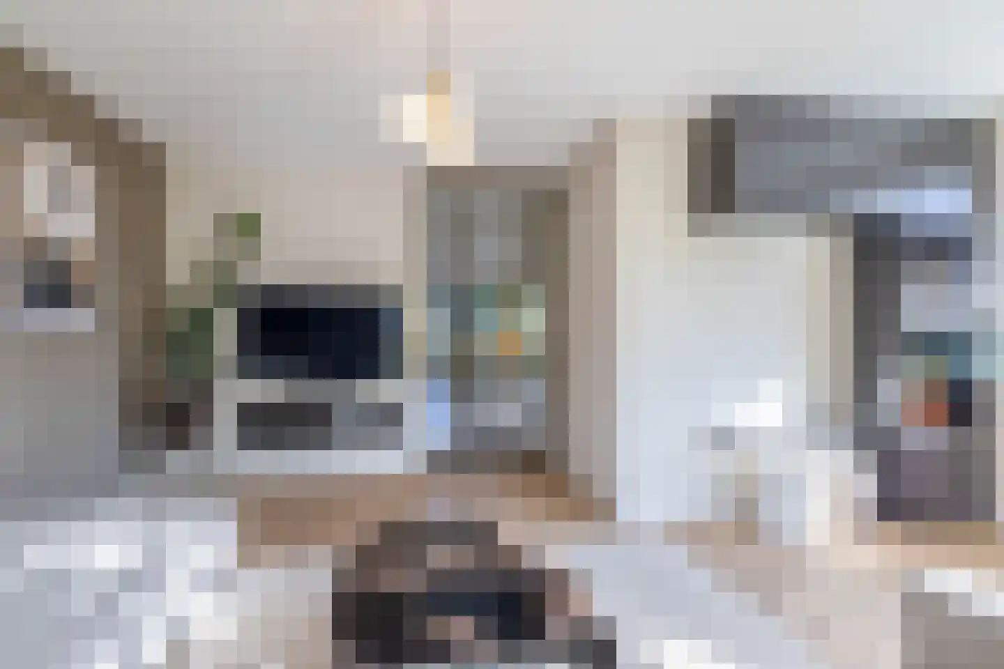 Pijlkruid 20 Meerstad thumbnail 17