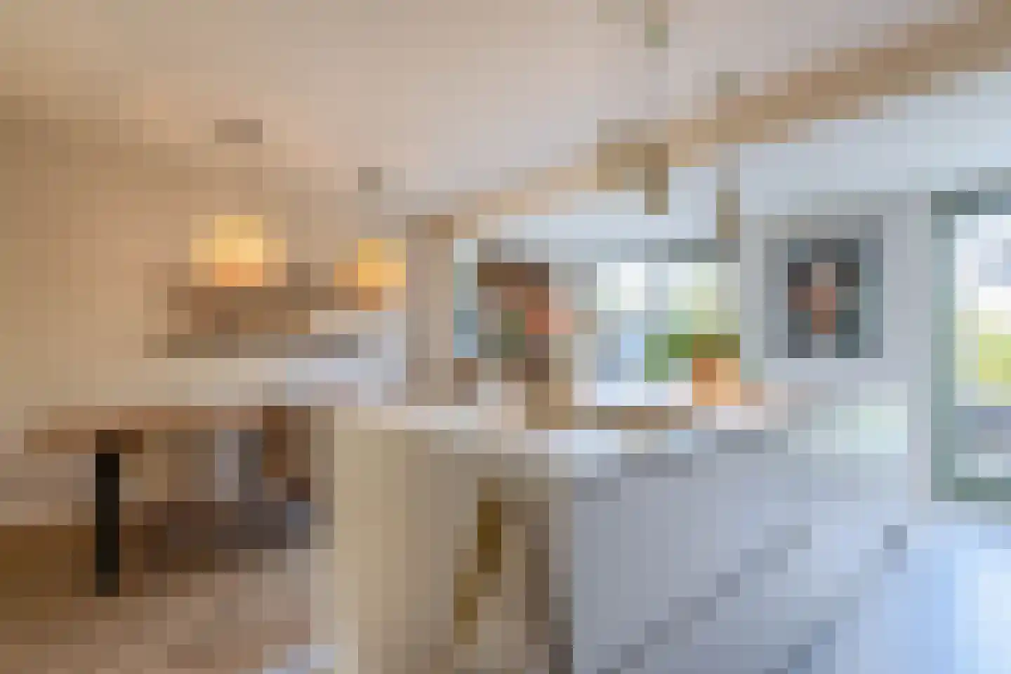 Pijlkruid 20 Meerstad thumbnail 22