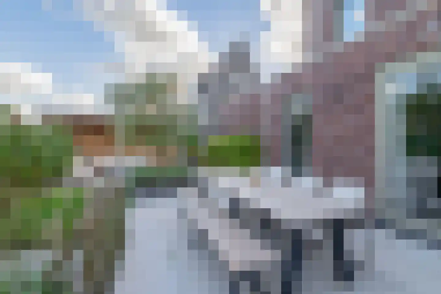 Pijlkruid 20 Meerstad thumbnail 28