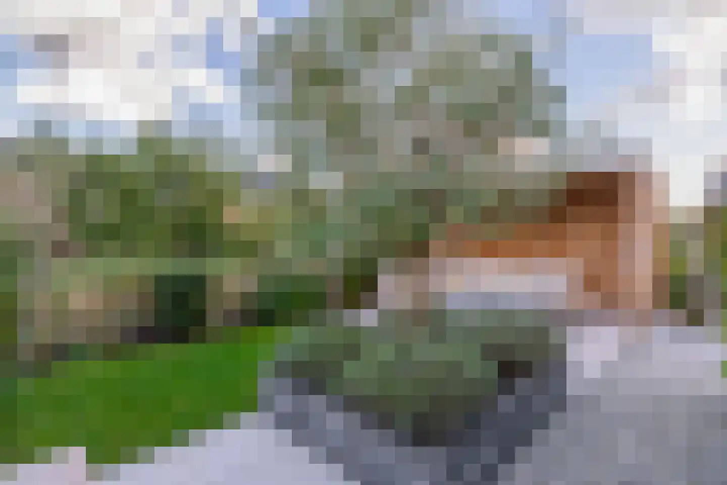 Pijlkruid 20 Meerstad thumbnail 29